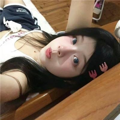 蜘蛛与郁金香
